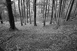 suhl-071