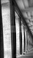 weimar-082011-046